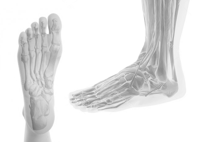 Interactive foot